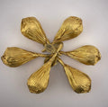 Lee pears chocolate Guld
